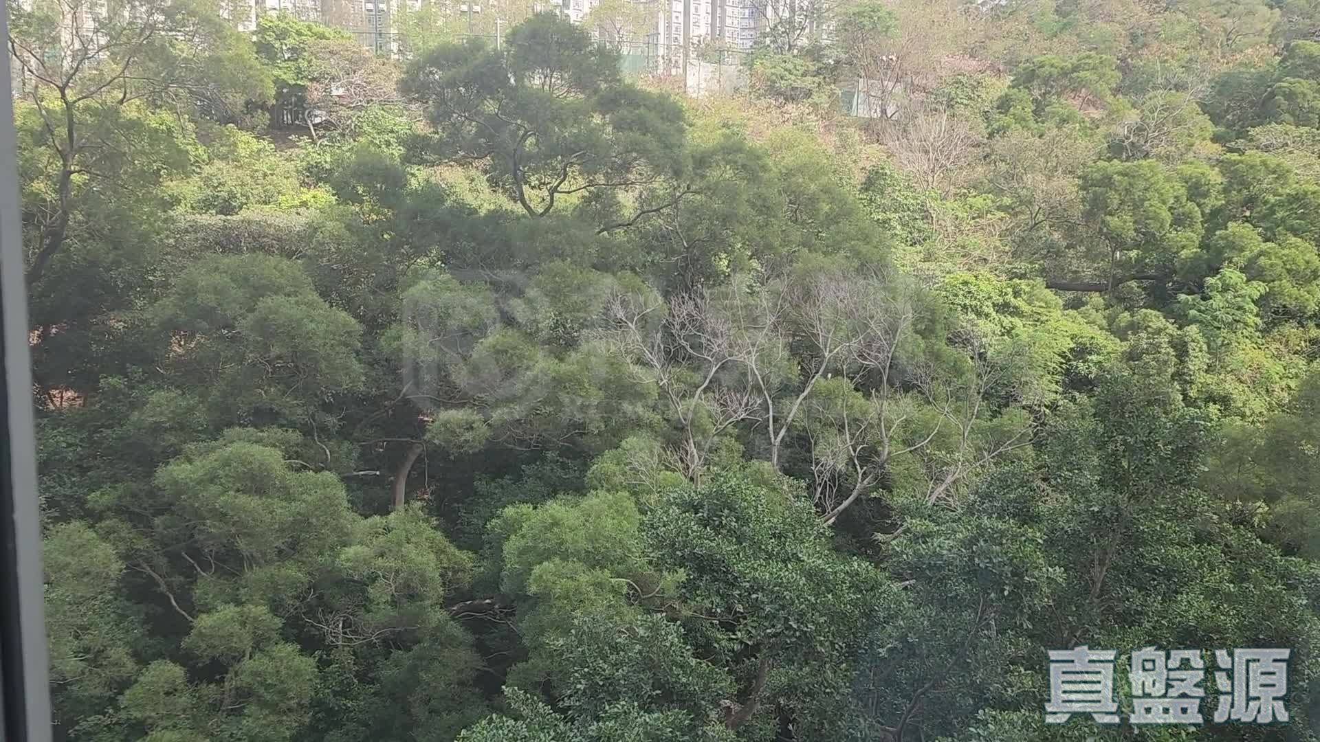 麗港城 2期 28座 中層 C室 觀塘/藍田/油塘