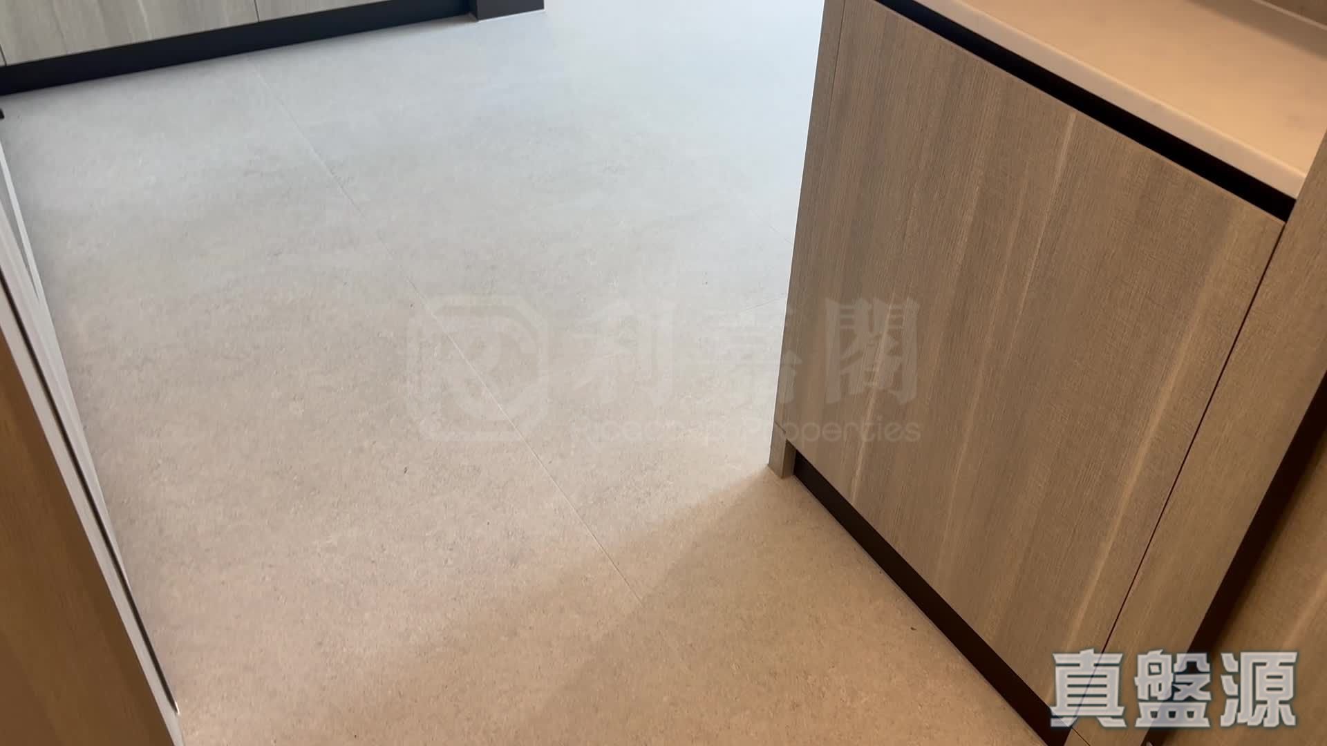 SIERRA SEA 1B期 Bleu Avenue 2座 低層 F室 西貢