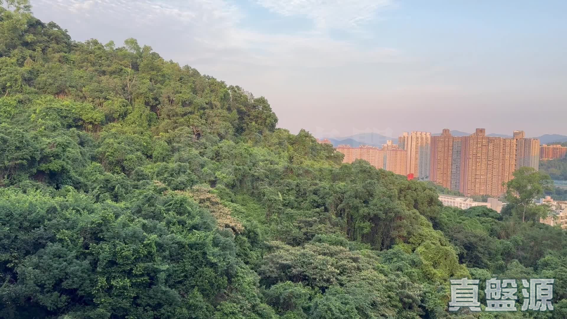 LE MONT PHASE 3 - Tower 3 High Floor Zone Flat C7 Tai Po