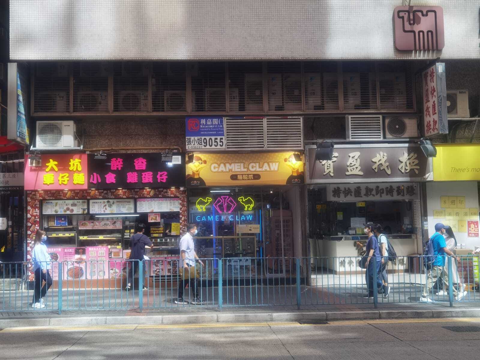 駱駝漆大廈3期 高層