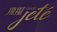 飞扬2期 Grand Jete Phase 2 屯门青山公路大榄段170号 发展商:长实、新鸿基