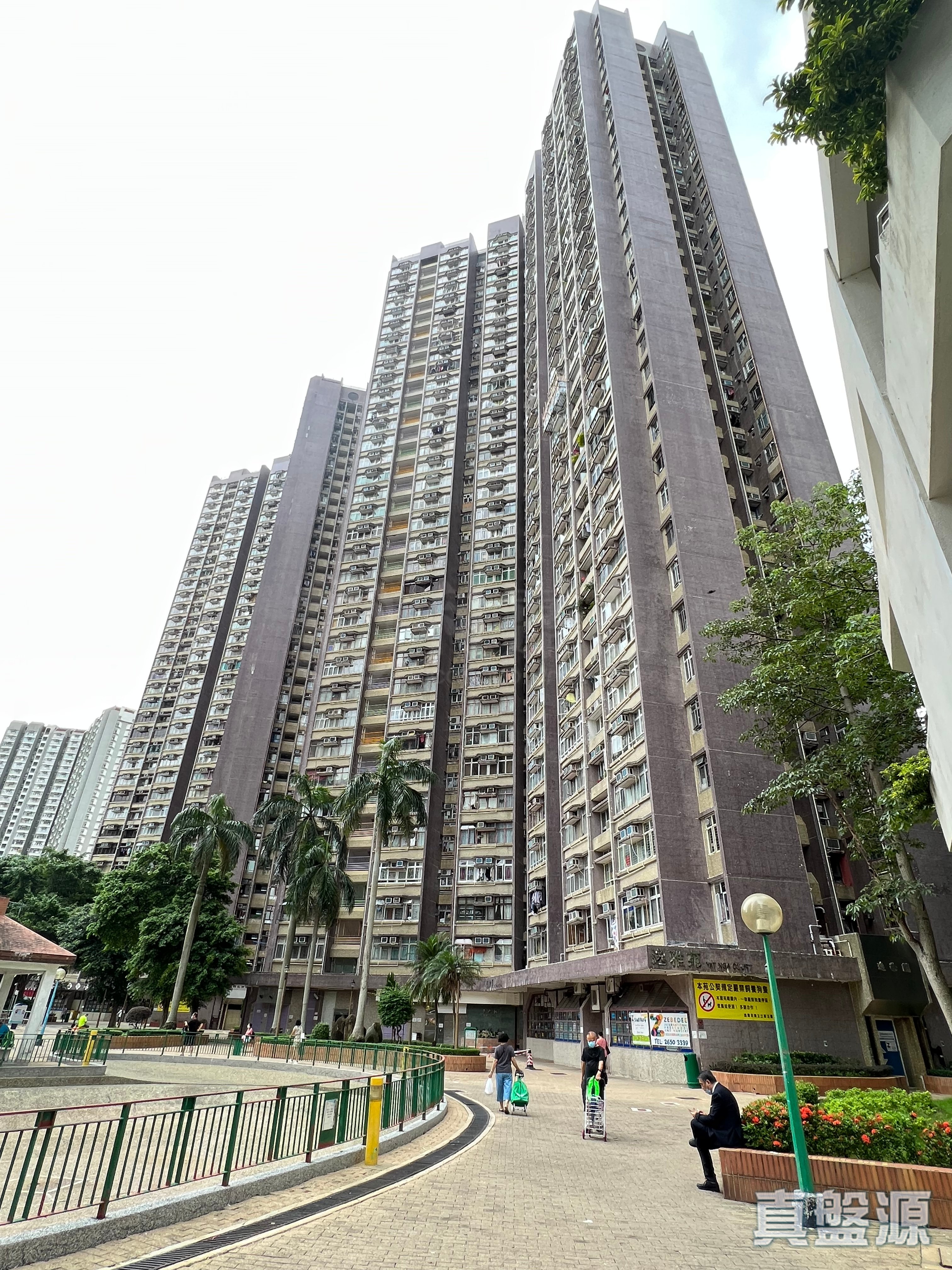 逸雅苑 逸欣阁 (B座) 极高层 17室 大埔