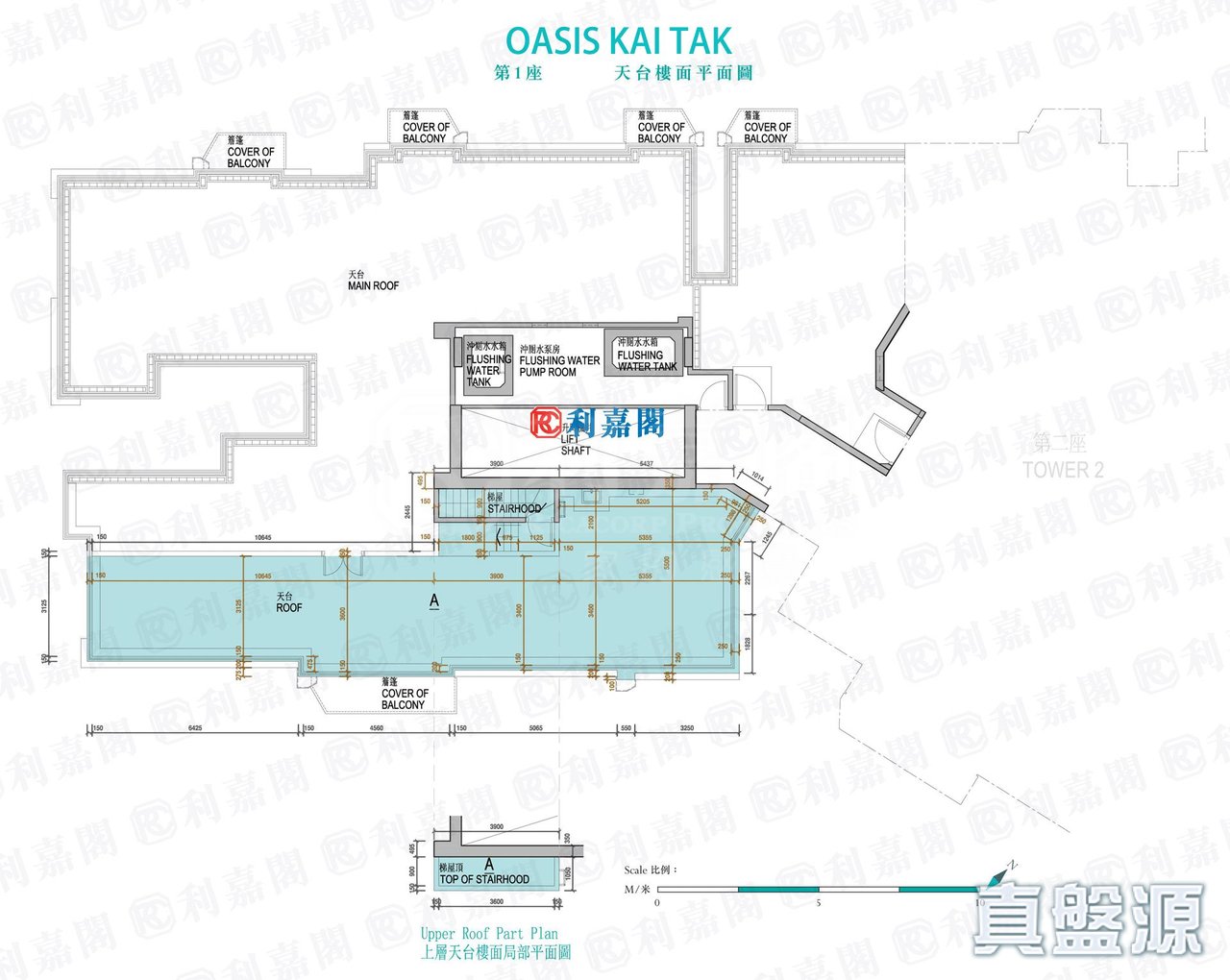 OASIS KAI TAK 1座 天台