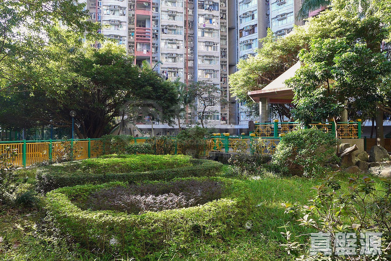 天平邨 天賀樓 (3座) 高層 5室 上水/粉嶺/古洞