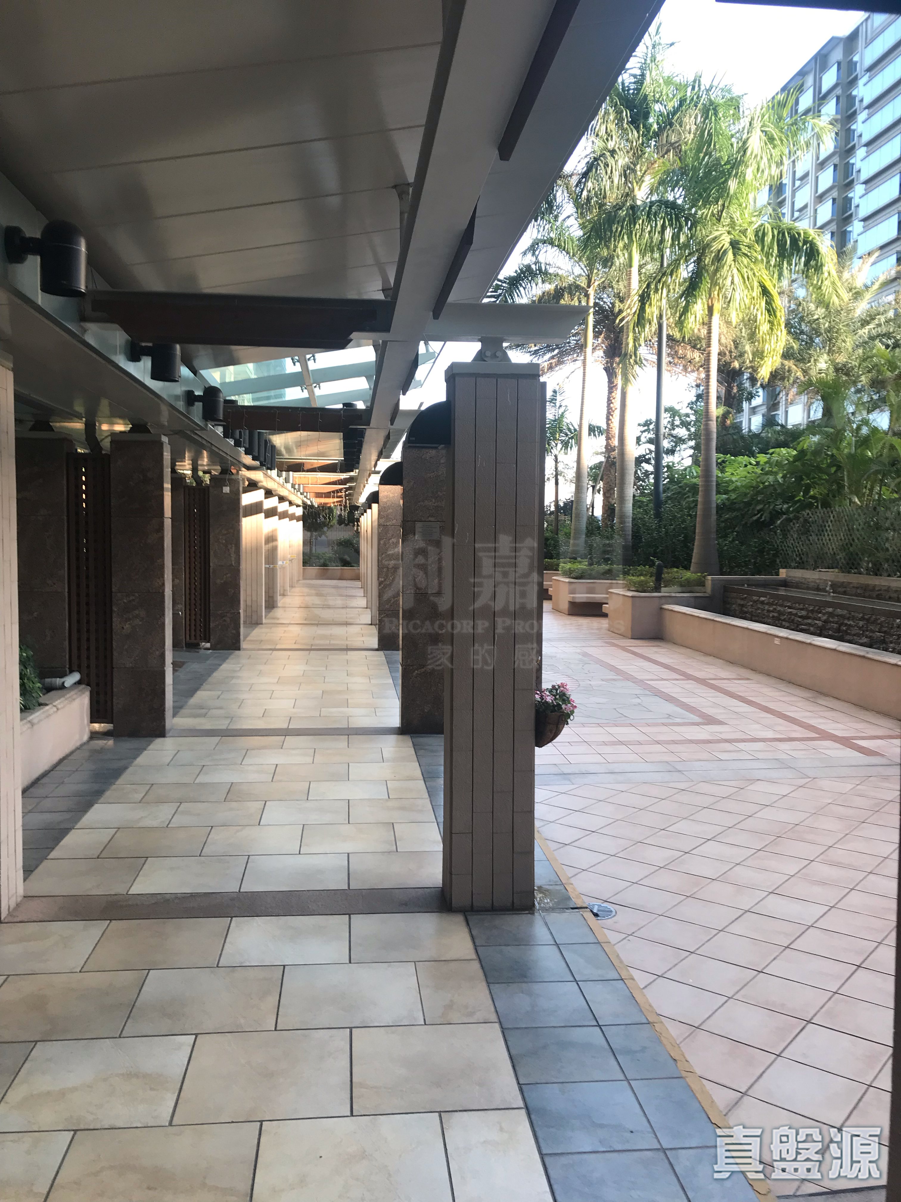 傲云峰 1座 极高层 H室 土瓜湾/九龙城/新启德/新蒲岗