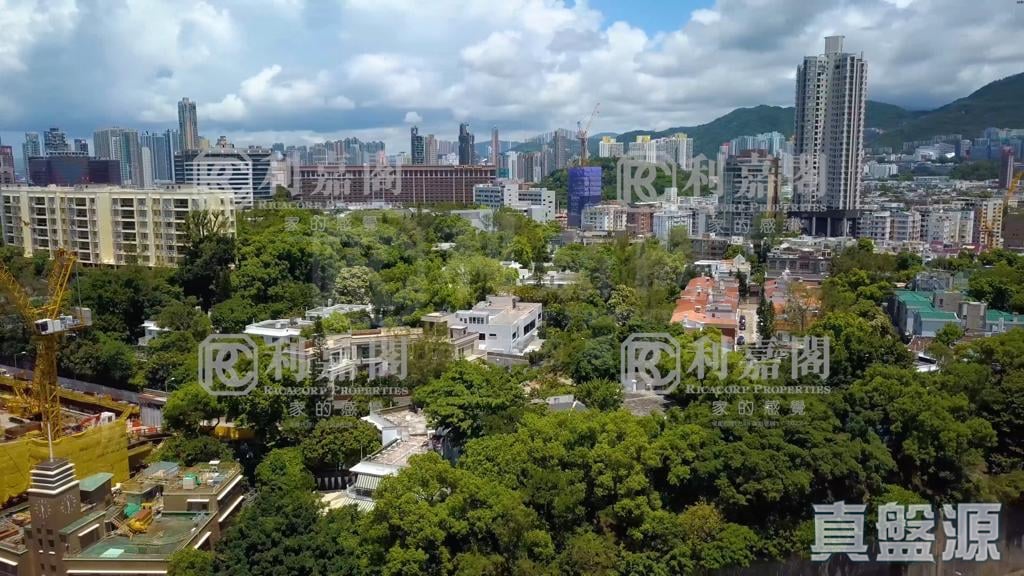 ST. GEORGE'S MANSIONS 1座 高层 B室 何文田/京士柏/九龙塘/又一村