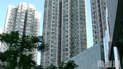 上水中心 4座 中层 B室 上水/粉岭/古洞