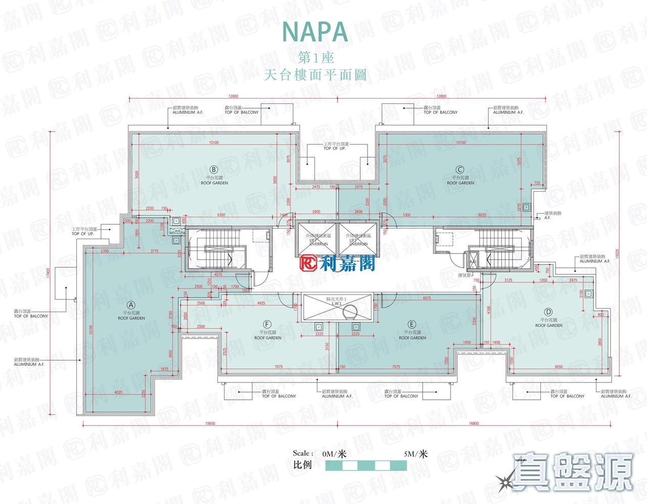 NAPA 1座 天台