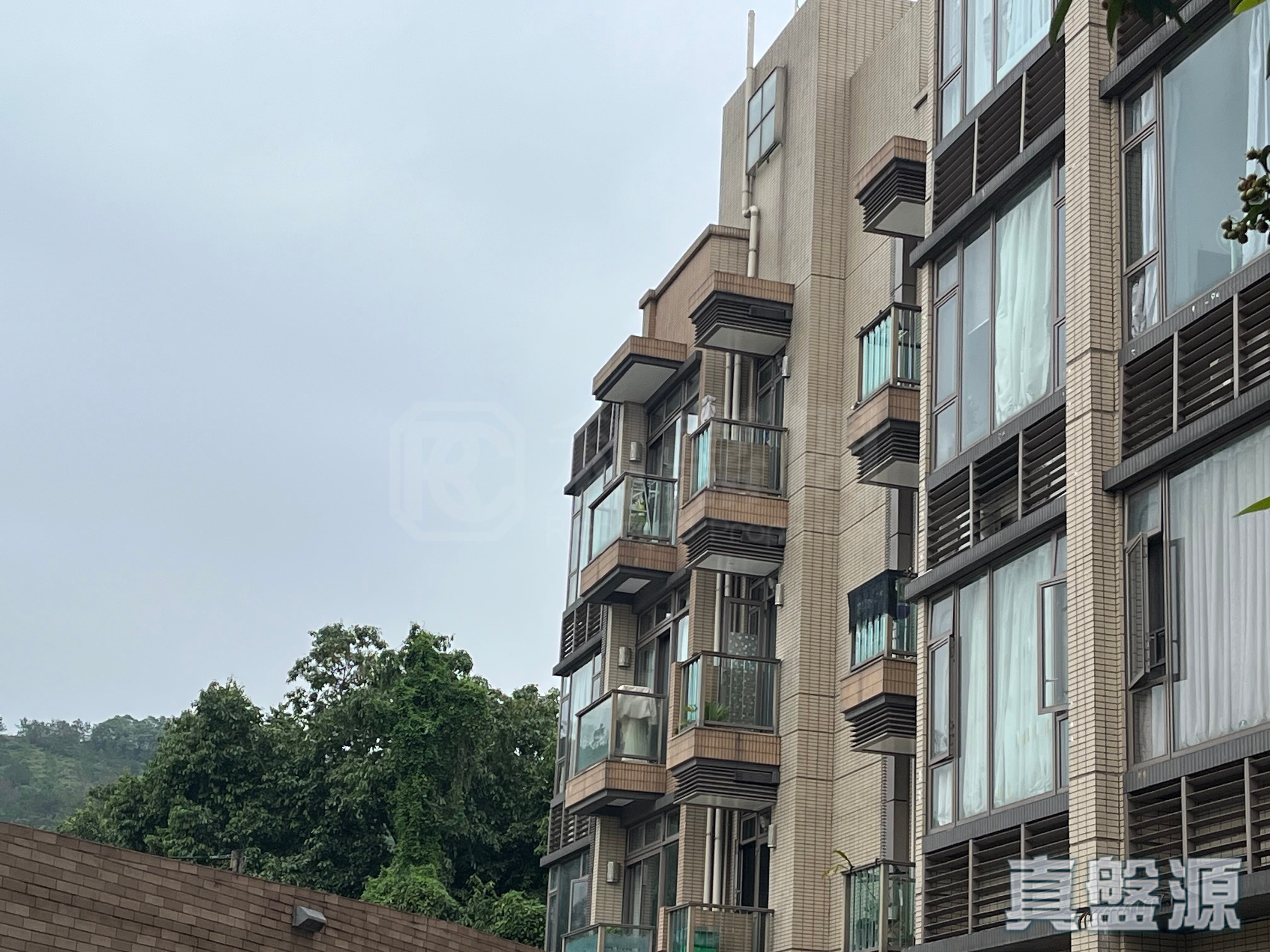 THE WOODSVILLE TOWER 9 High Floor Zone Yuen Long