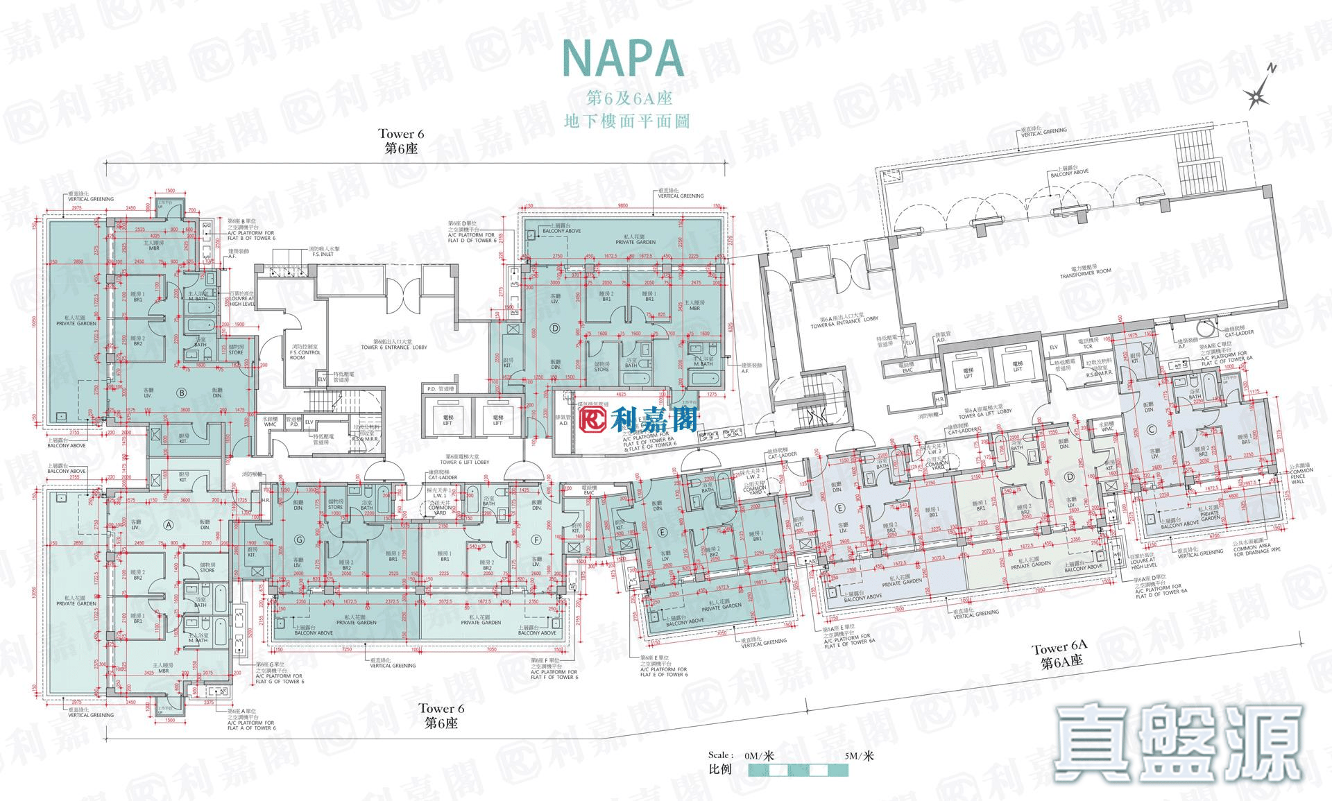 NAPA 6A座 低层 深井/青山公路