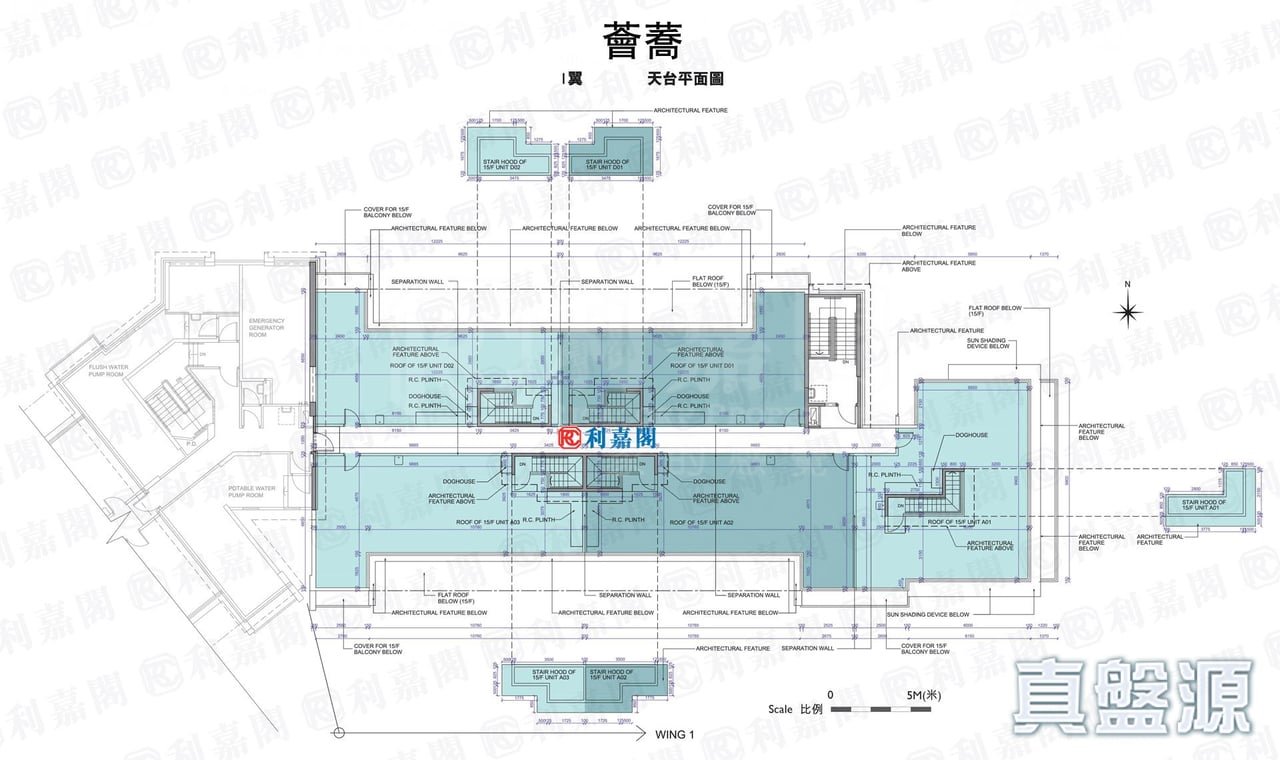 薈蕎 1翼 天台