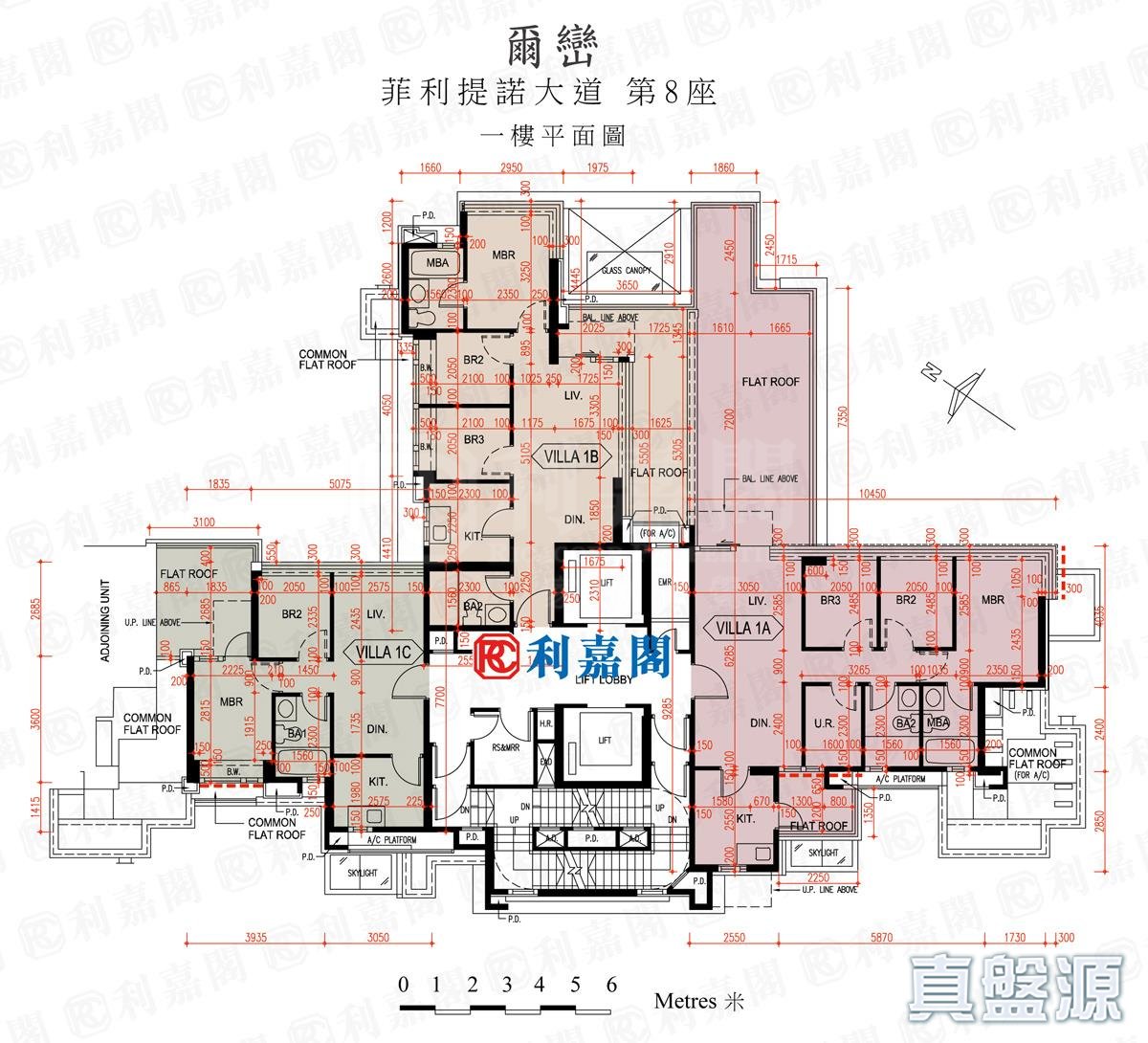爾巒 菲利提諾大道 8座 低層 元朗