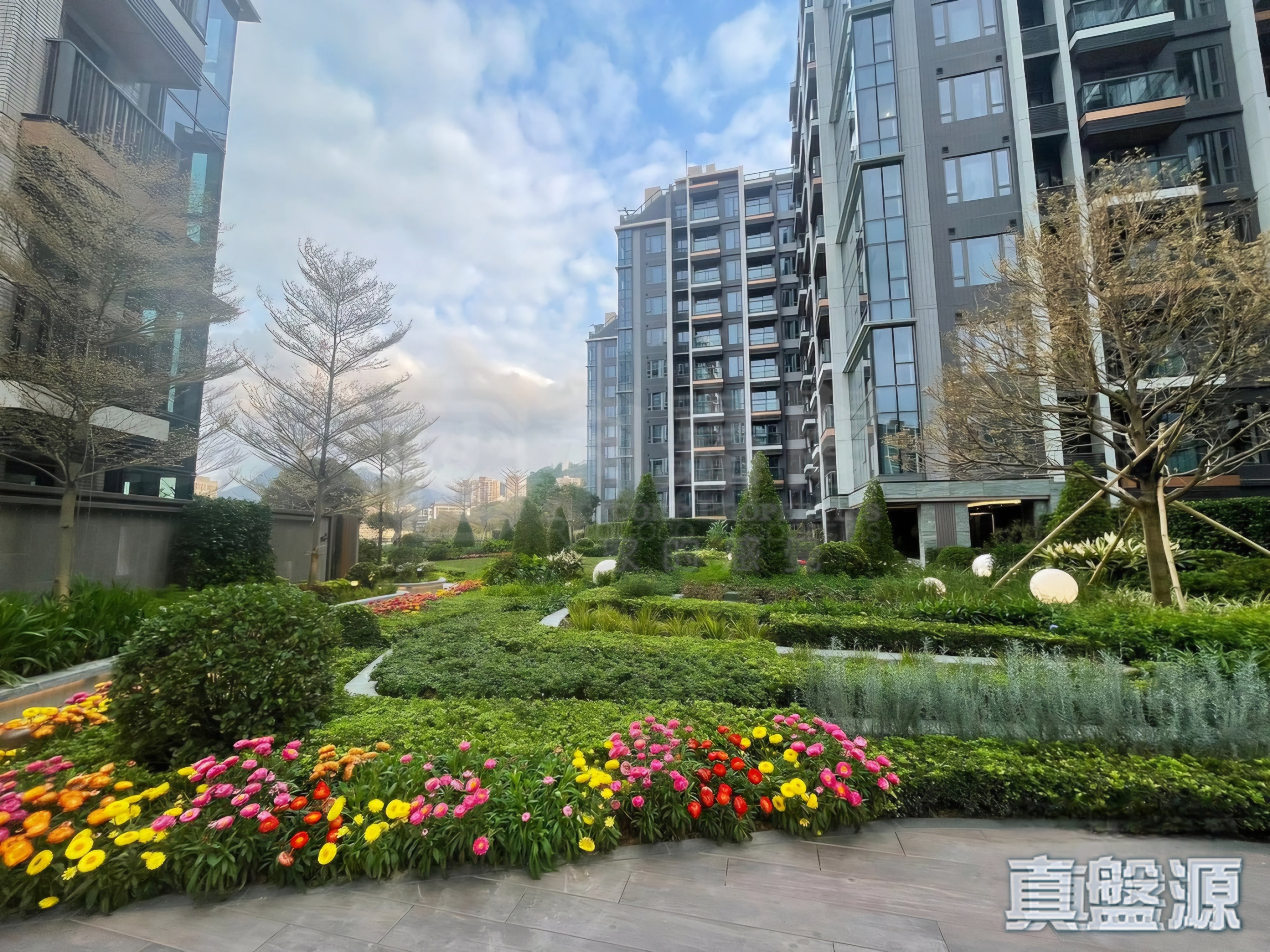 SILICON HILL 1期 翠景閣 第2座 極高層 B6室 大埔