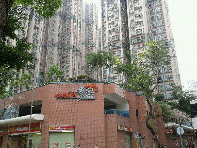 FLORA PLAZA Block 5 High Floor Zone Flat B Sheung Shui/Fanling/Kwu Tung