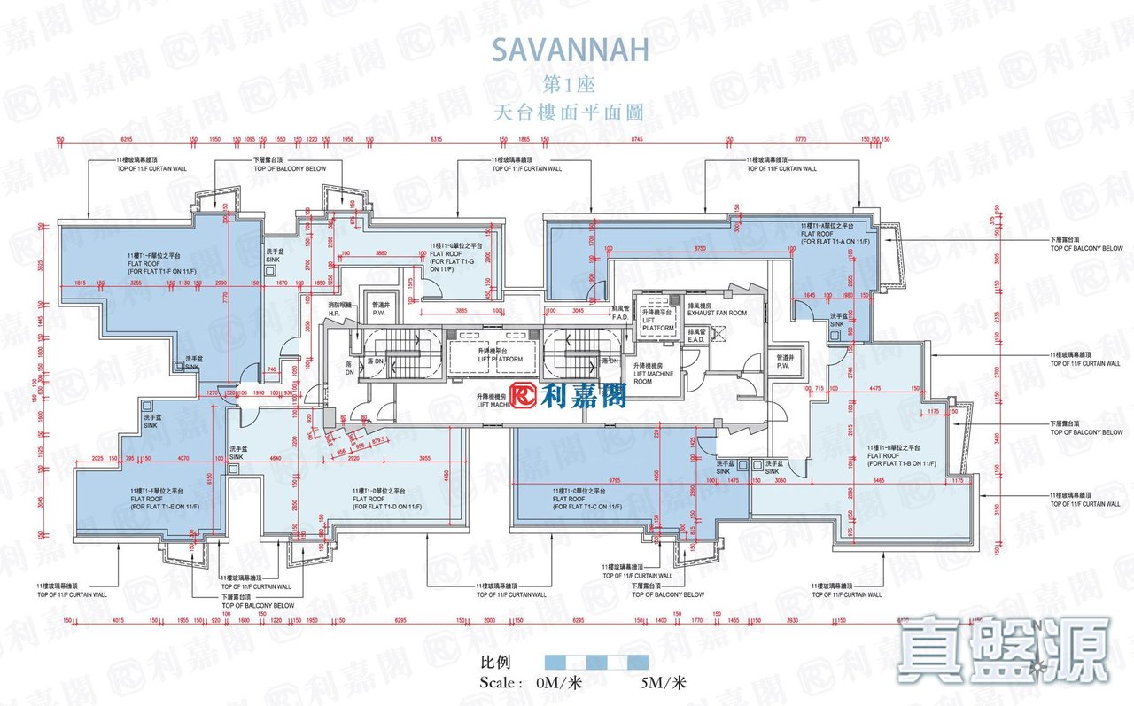 SAVANNAH 1座 天台