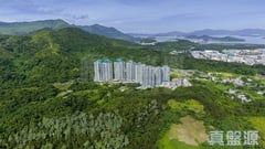 嵐山 1期 6座 中層 D室 大埔