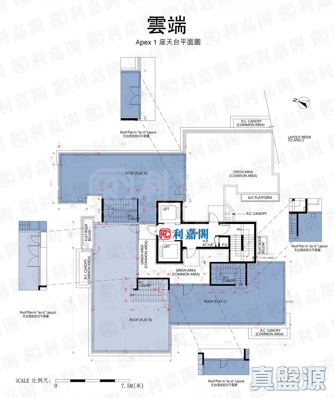 雲端 APEX 1座 天台