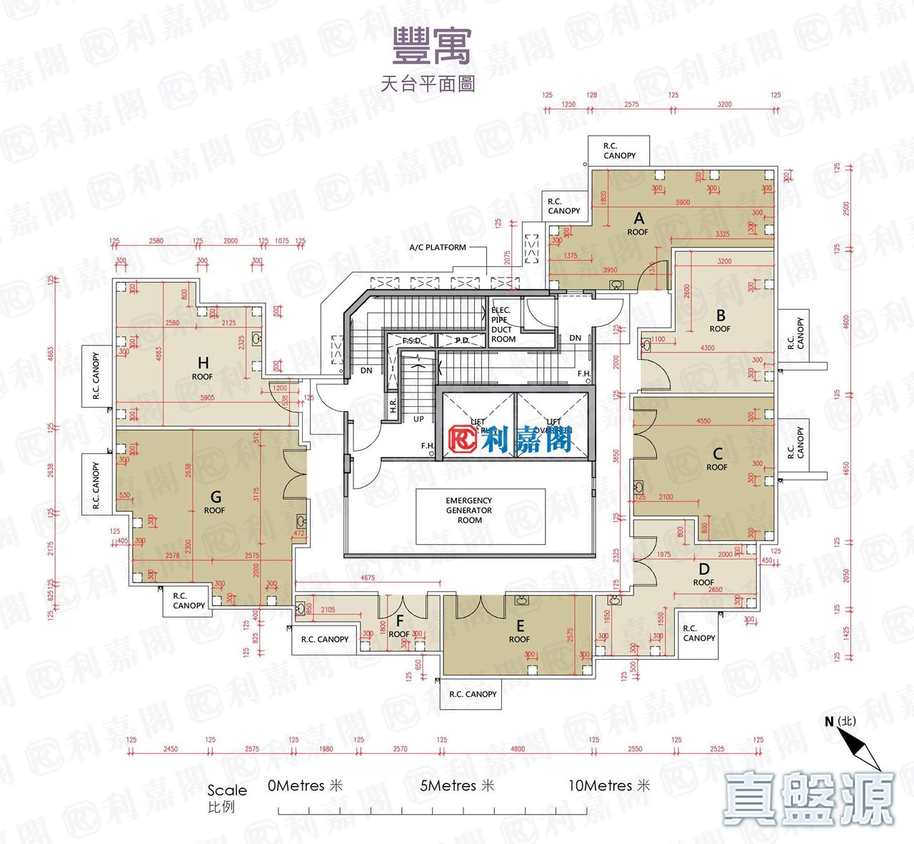 豐寓 天台