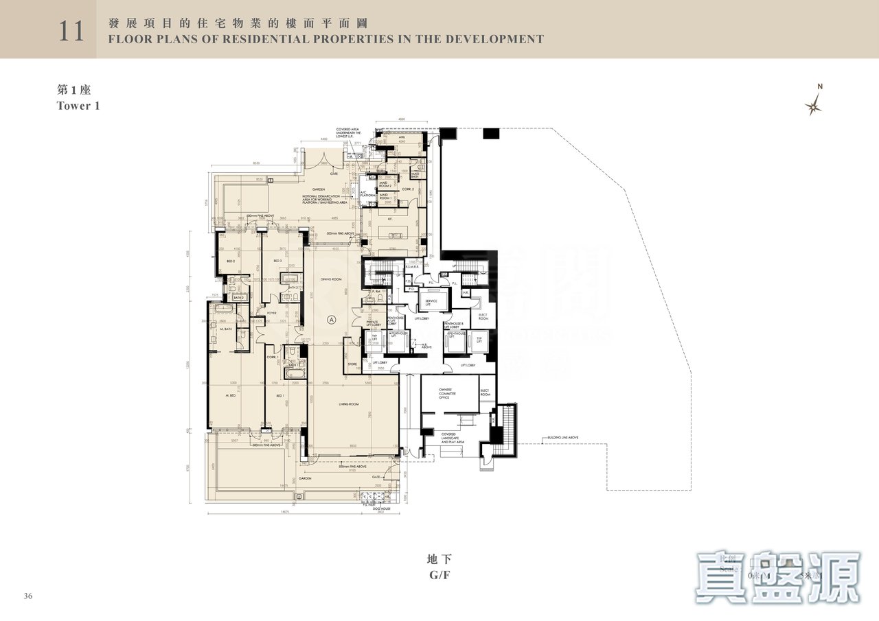緹外 1座 地下 地下