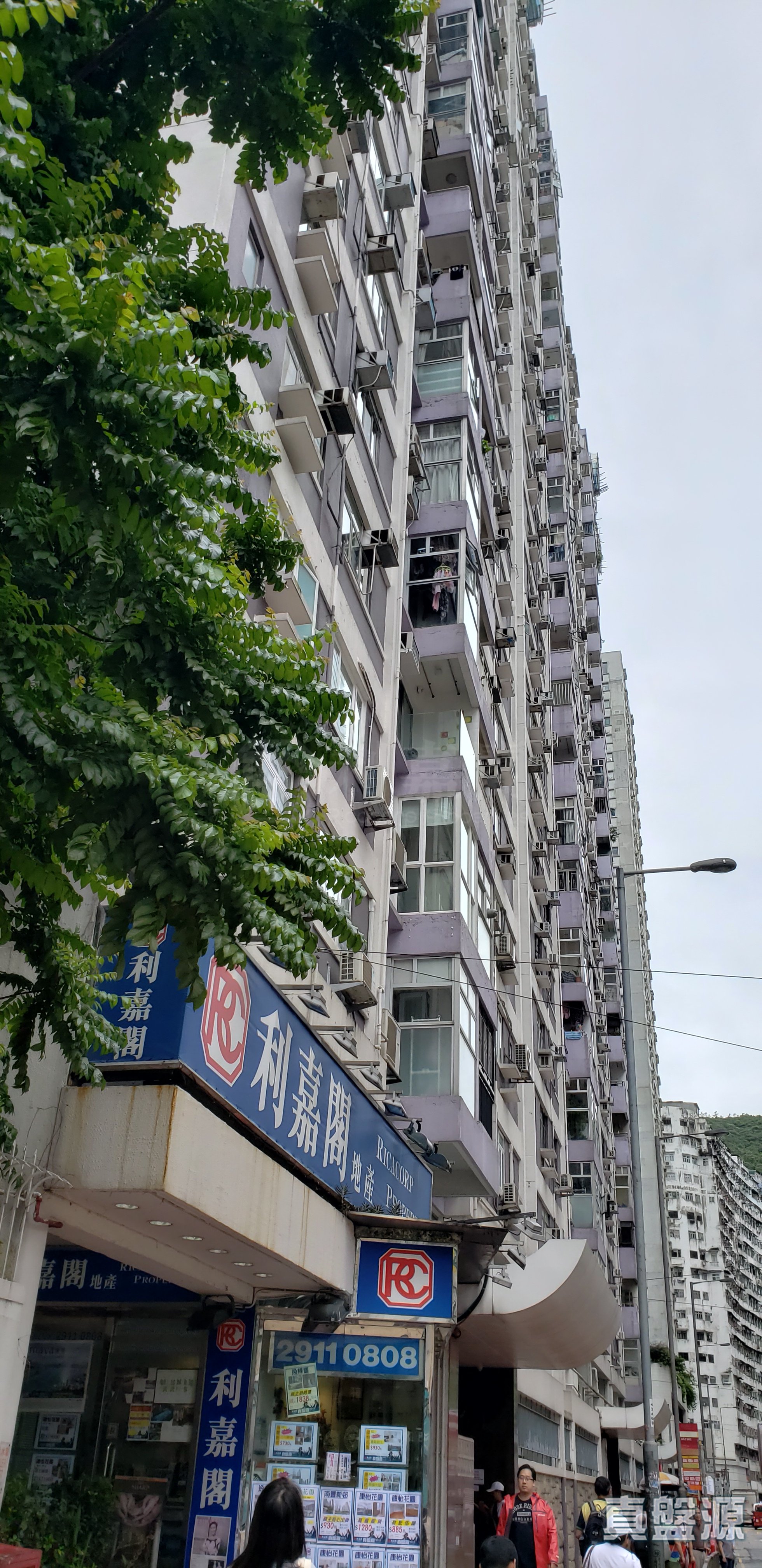 寶峰園 B座 中層 3室 康怡/鰂魚涌/太古城