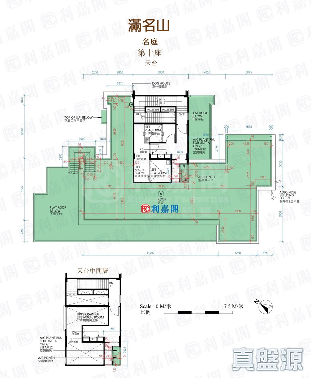 滿名山 名庭 10座 天台