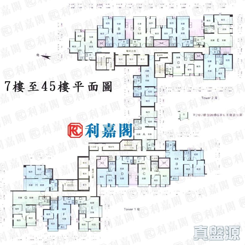 窩打老道8號 2座 中層 F室 旺角/油麻地