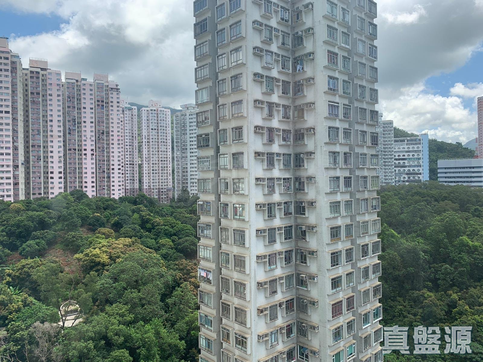 荃德花園 E座 中層 C室 荃灣