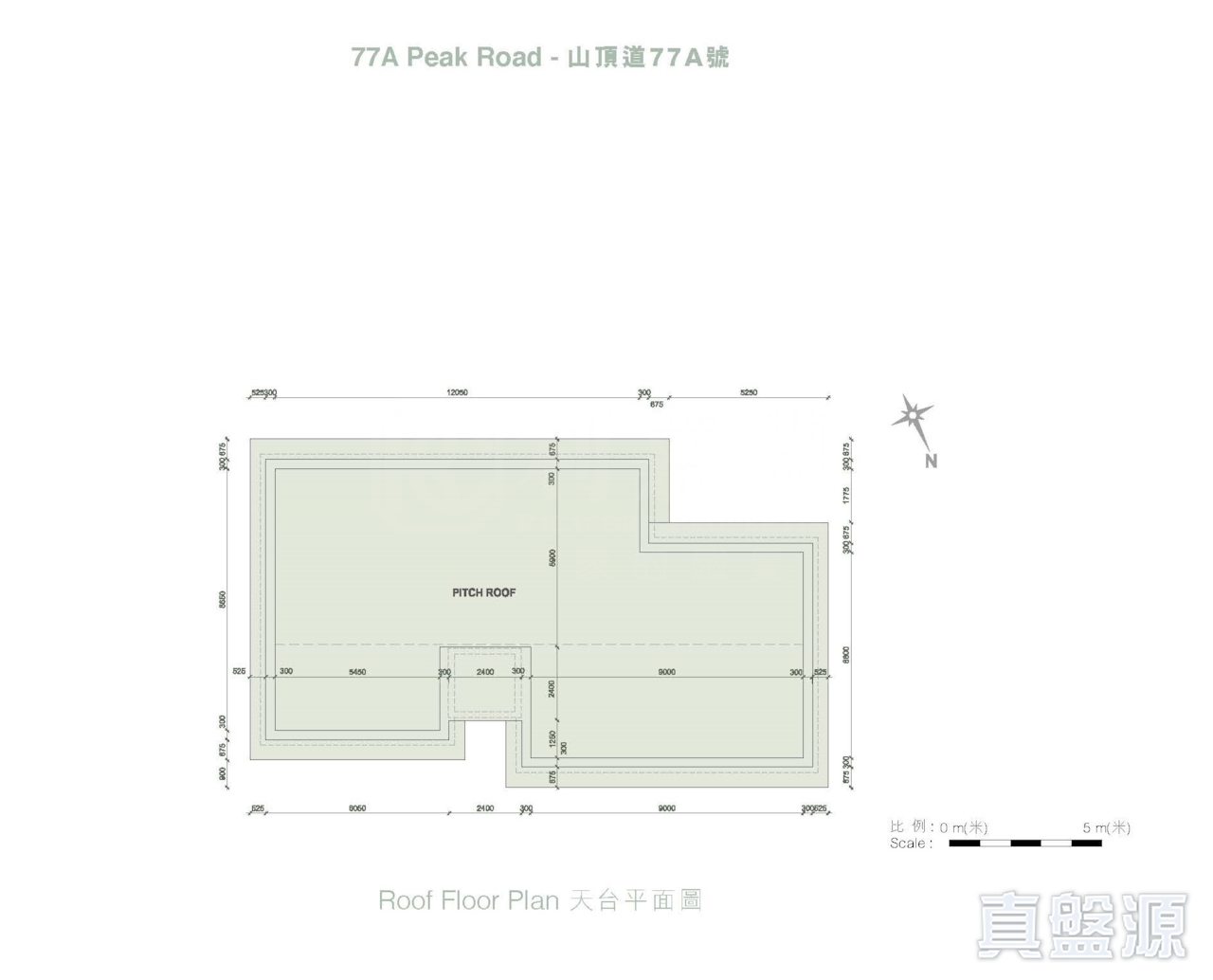 House 77A -Roof Floor Plan.jpg