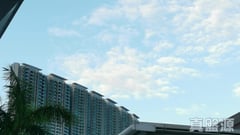 藍天海岸 3期 影岸‧紅 A座 (7座) 中層 F室 東涌