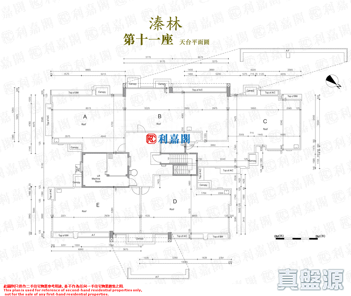 溱林 11座 中層 元朗
