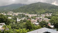 天鑽 16座 中層 D室 大埔