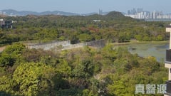 WETLAND SEASONS PARK 3期 8座 天水围