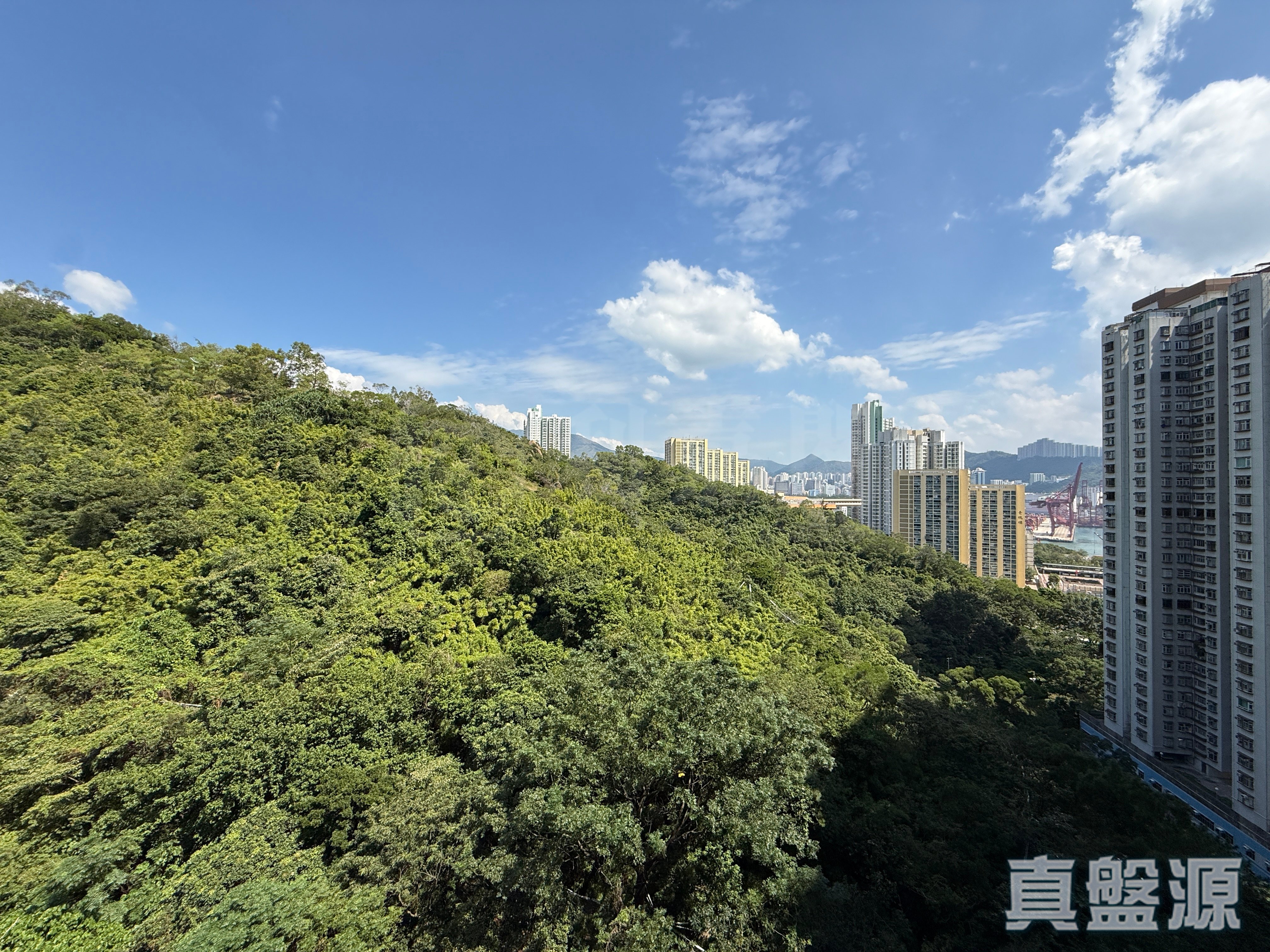 明翹匯 1A座 高層 C室 青衣