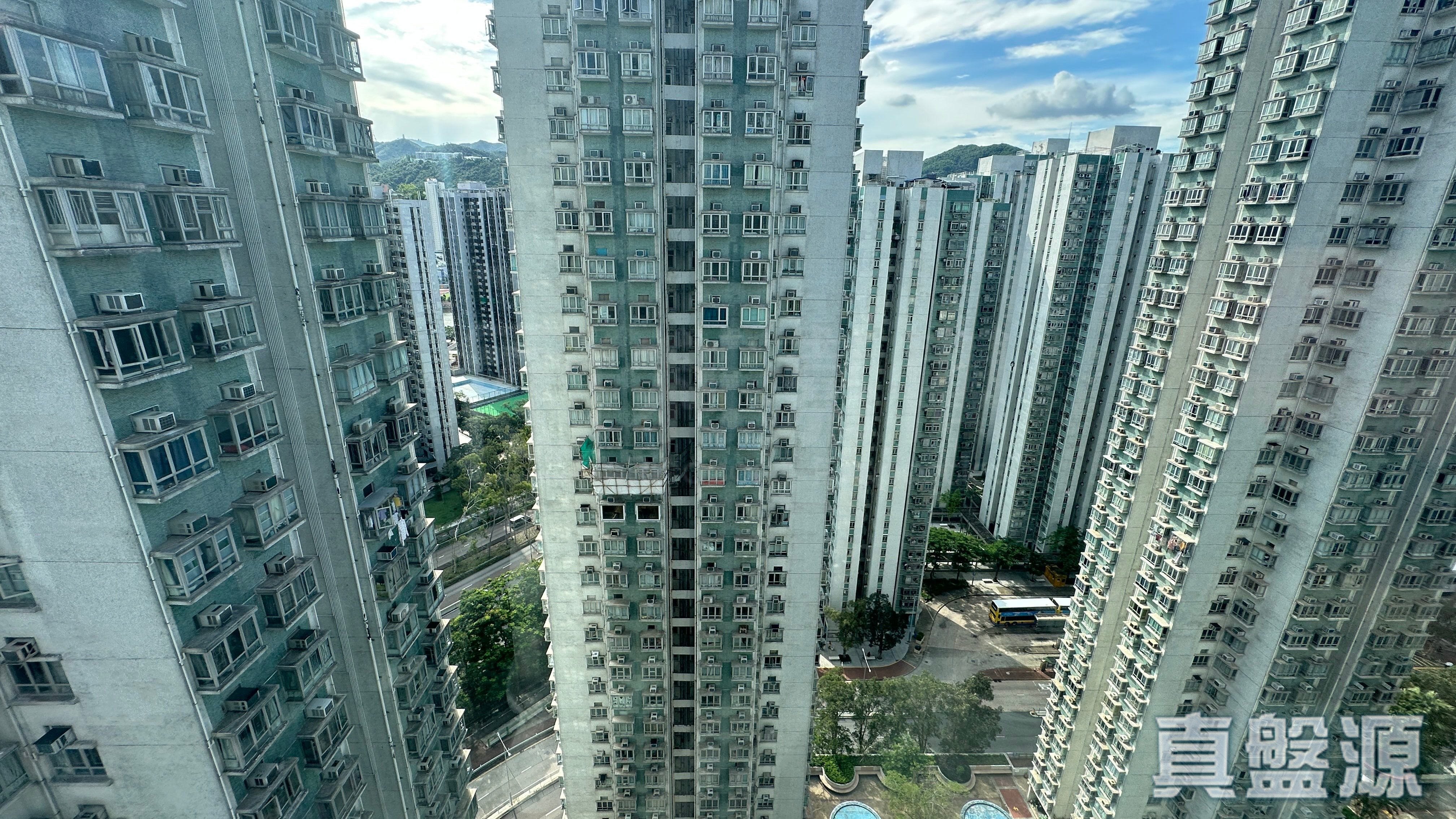 沙田第一城 5期 50座 高层 B室 沙田/火炭/九肚山