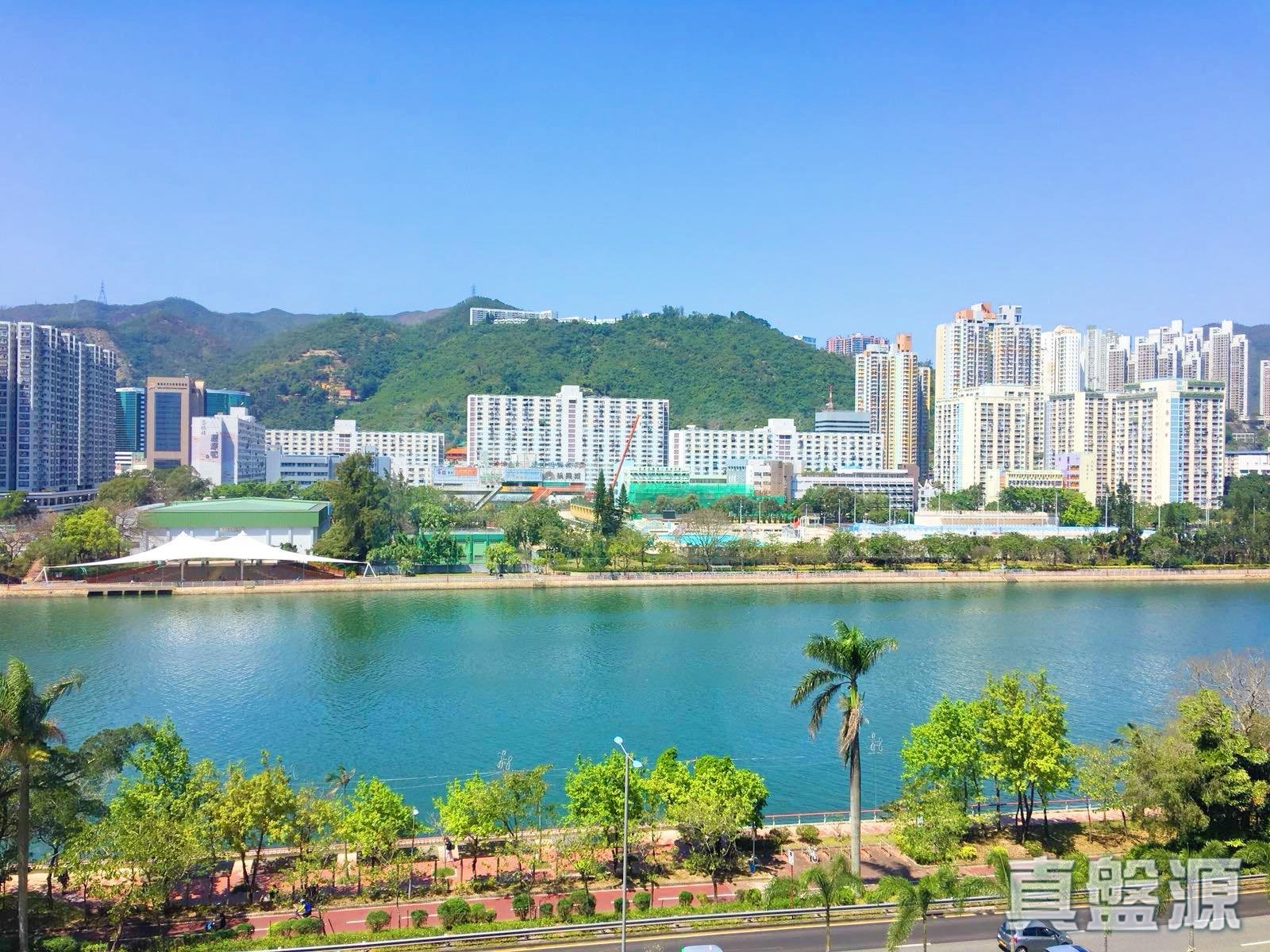 河畔花園 C座 沙田/火炭/九肚山