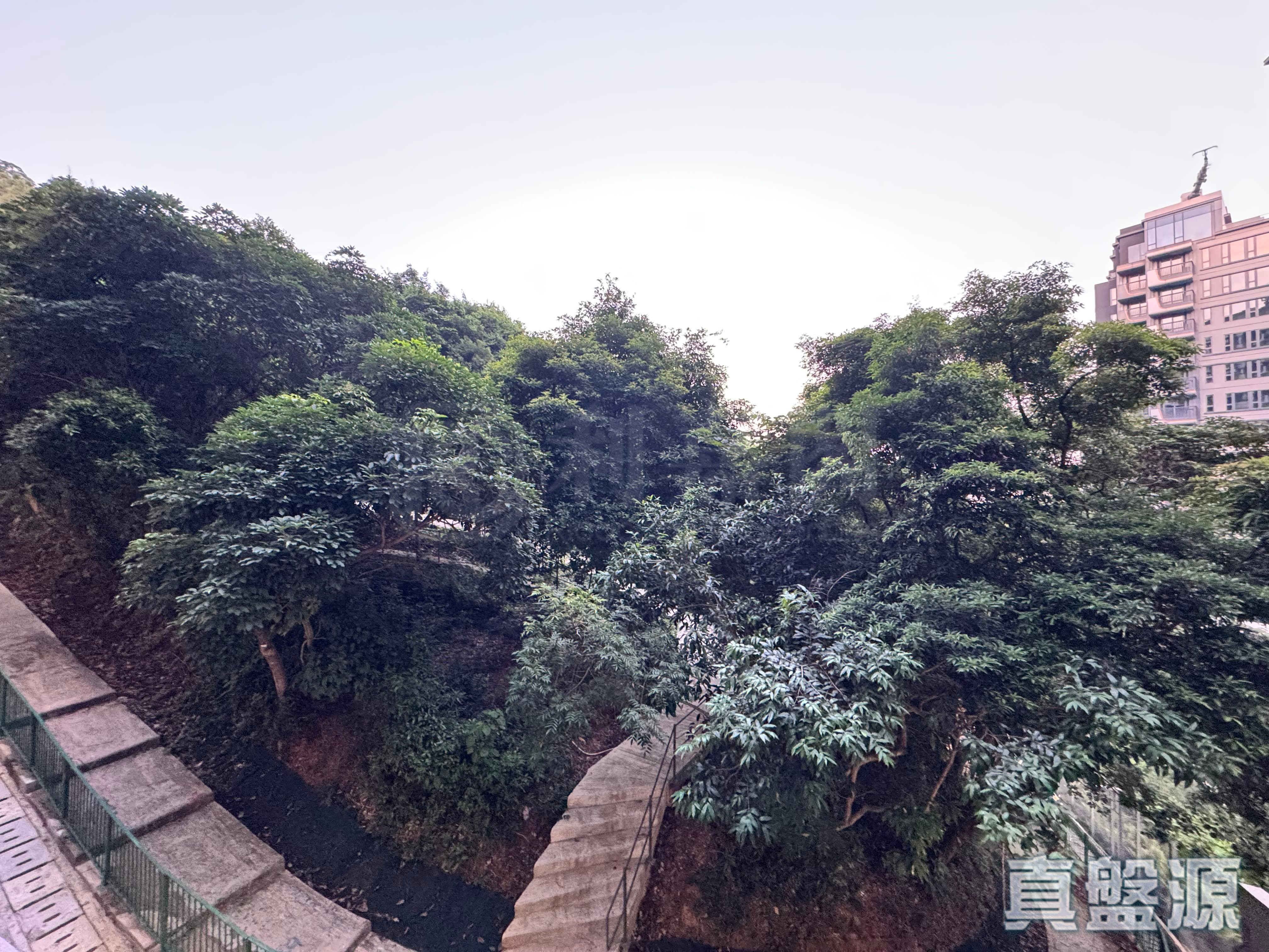 上然 3期 3座 低层 C7室 大埔
