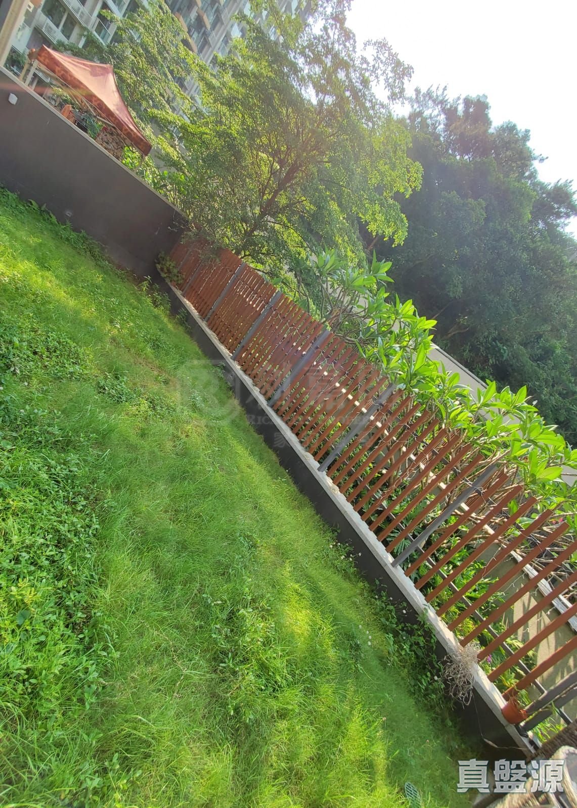 明翹匯 2A座 低層 B室 青衣