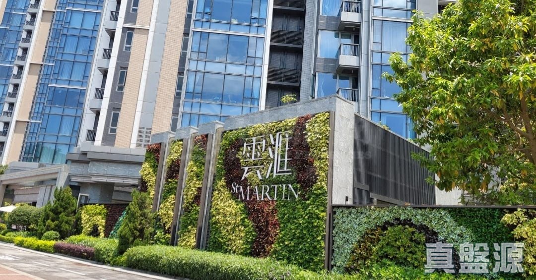 雲滙 1期 6座 低層 B2室 大埔