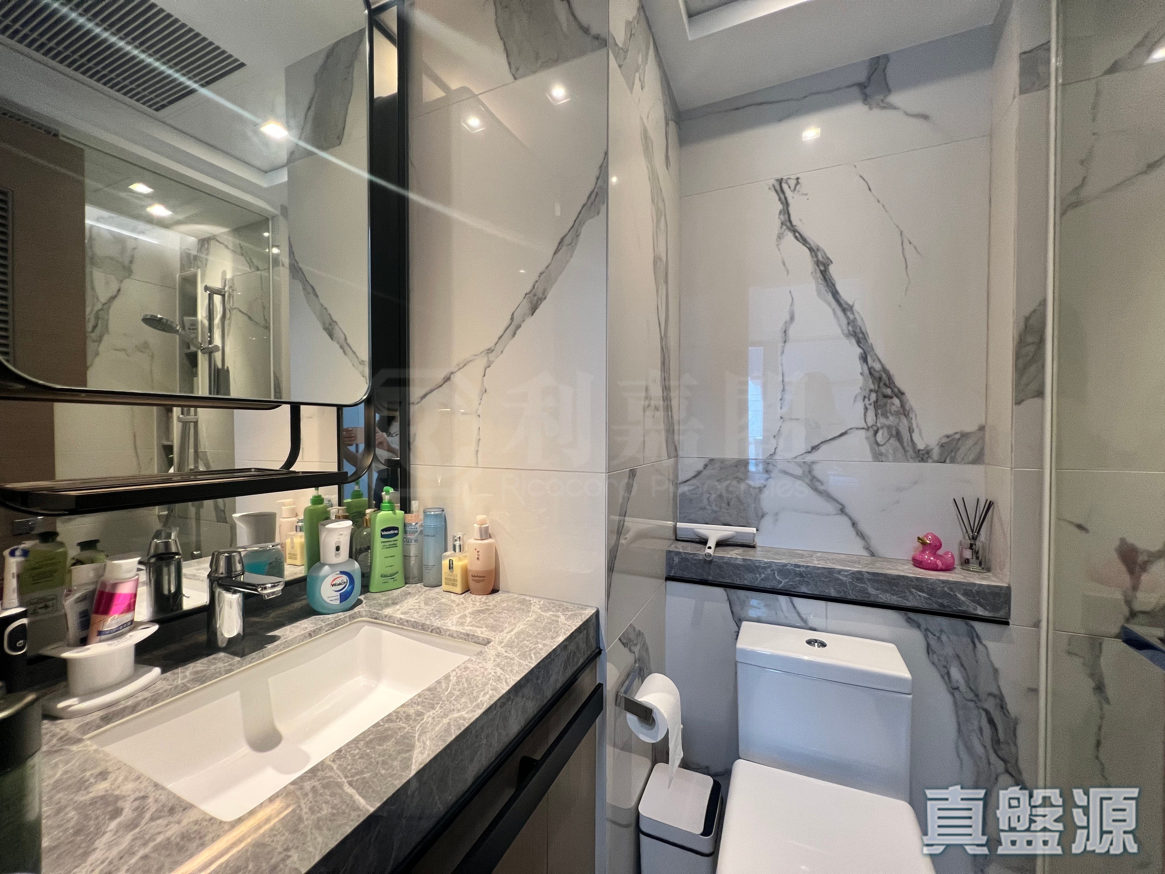ST MARTIN PHASE 2 - Tower 8 Medium Floor Zone Flat B5 Tai Po