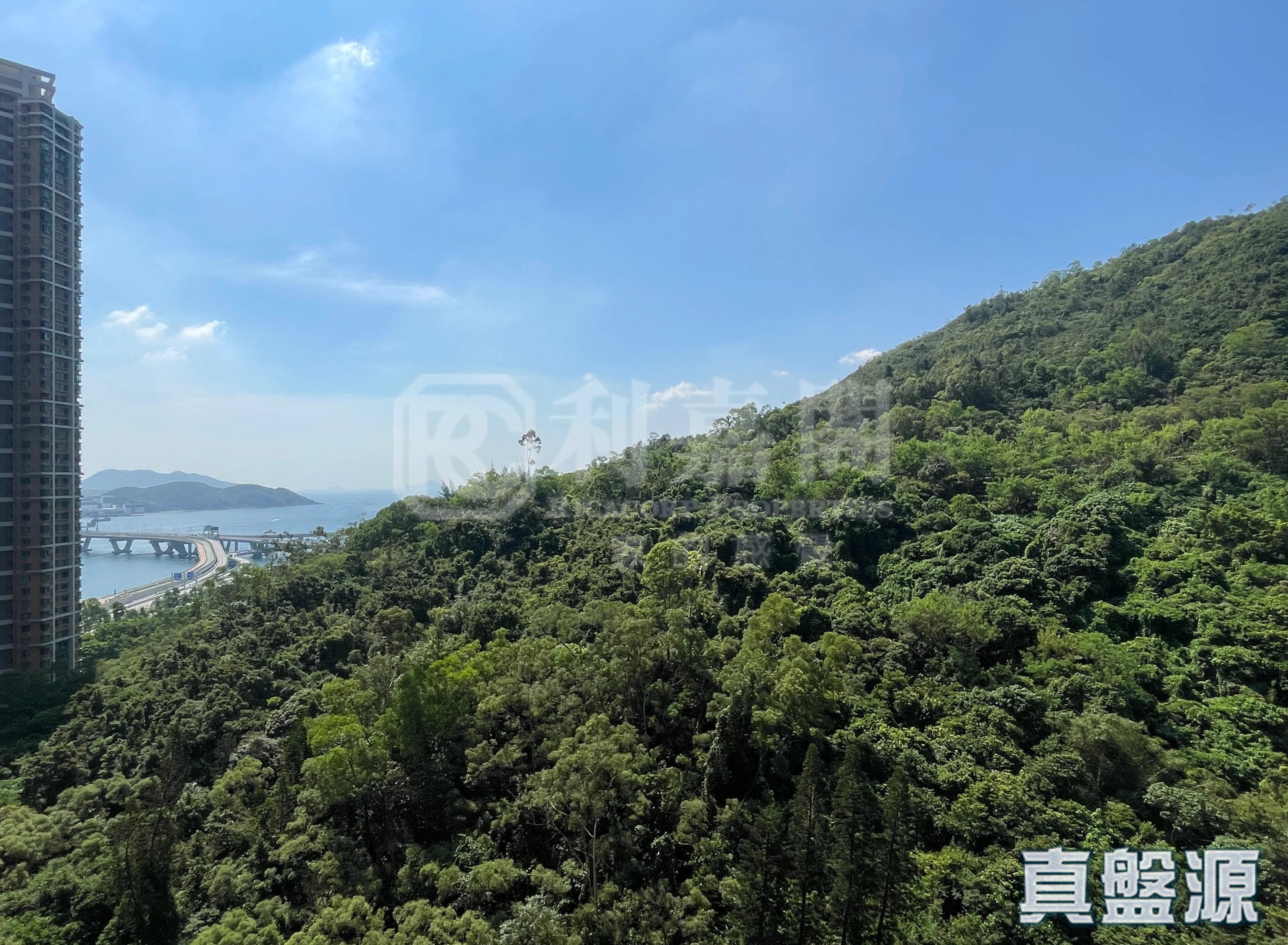 维景湾畔 3期 11座 中层 G室 将军澳