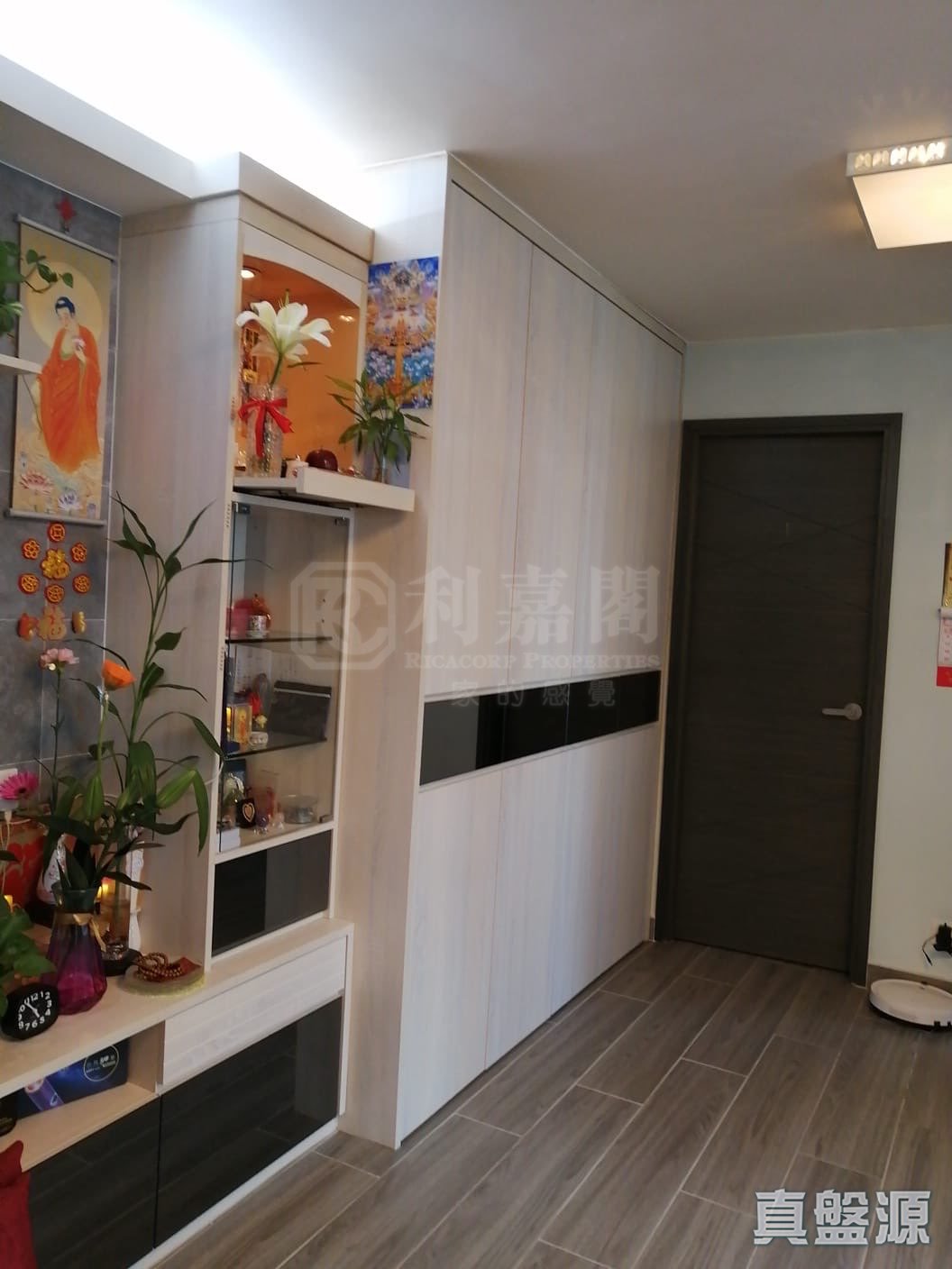 undefined 12樓 5室