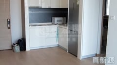 嘉熙 5座 極高層 A室 大埔