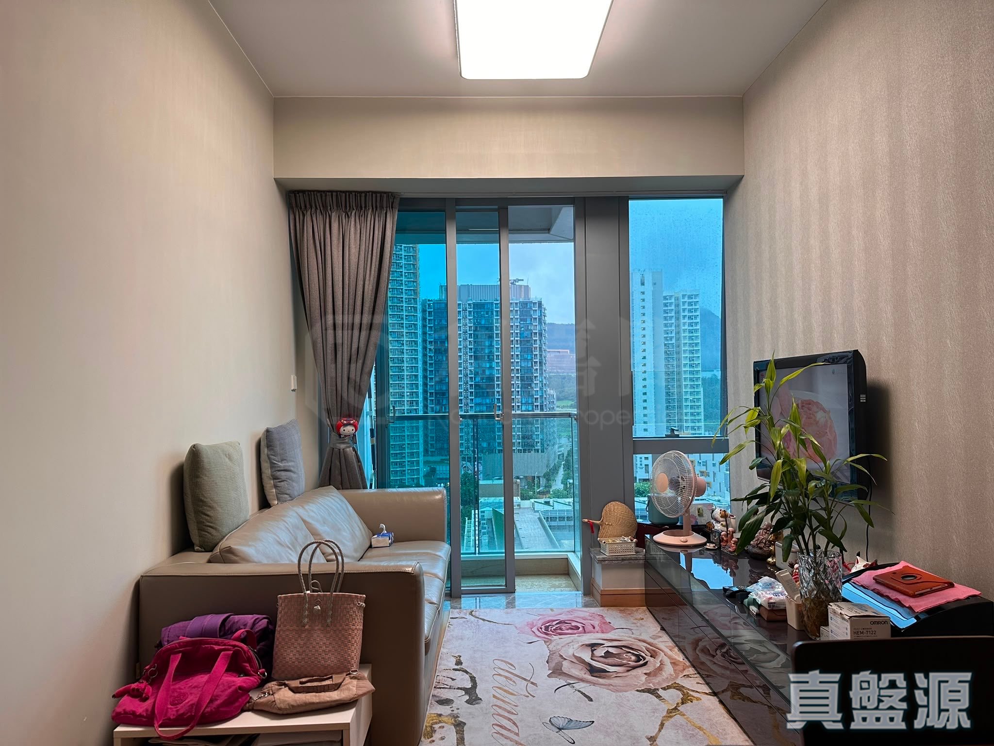 THE PARKSIDE TOWER 3 Medium Floor Zone Flat E Tseung Kwan O