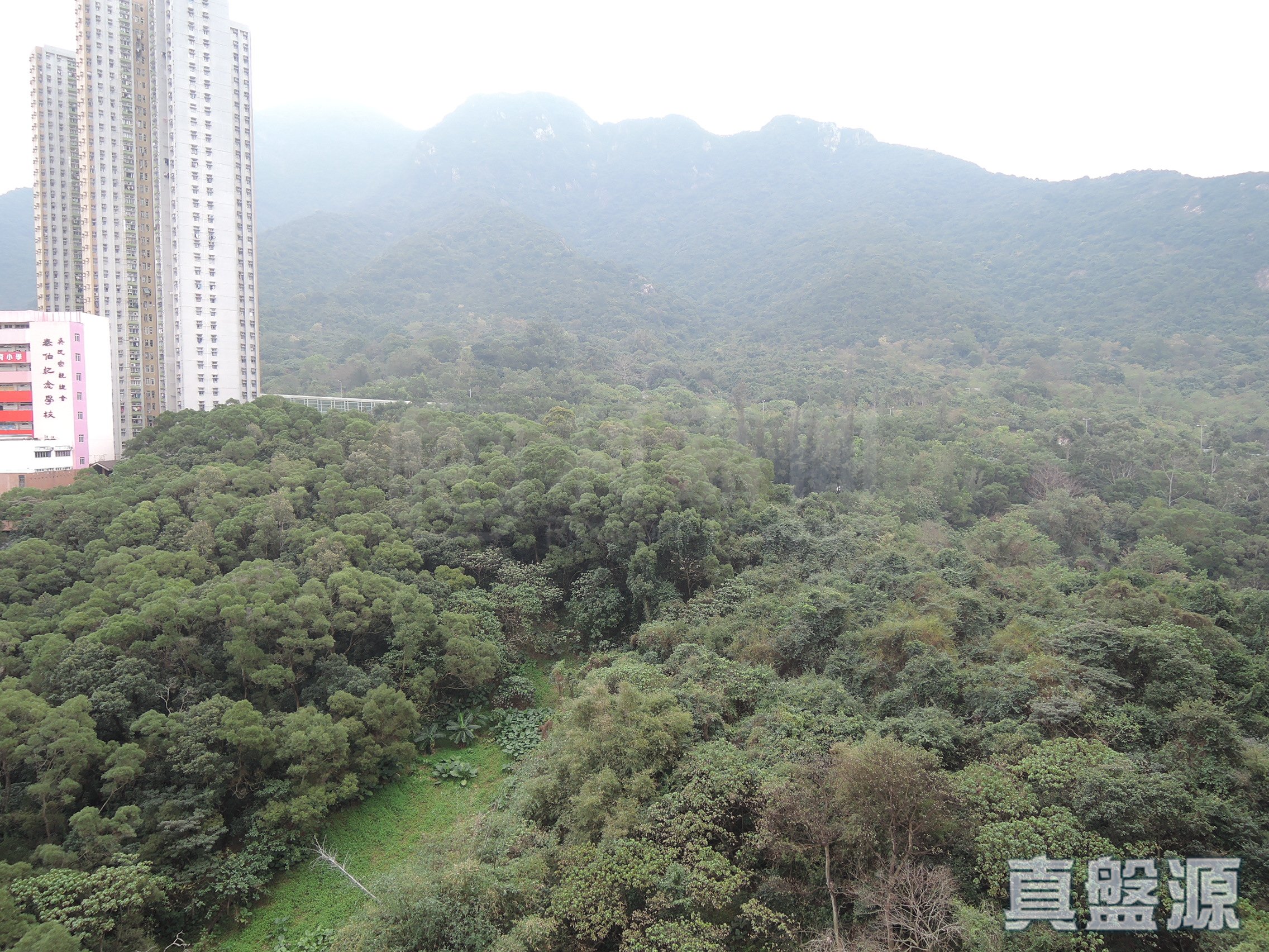 雅景台 4座 中层 D室 马鞍山