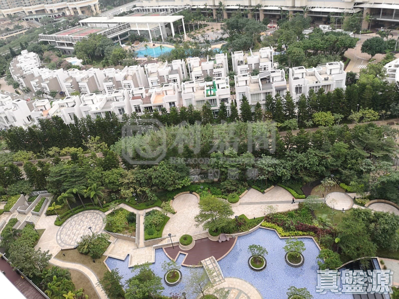 藍天海岸 4期 水藍‧天岸 3座 極高層 F室 東涌