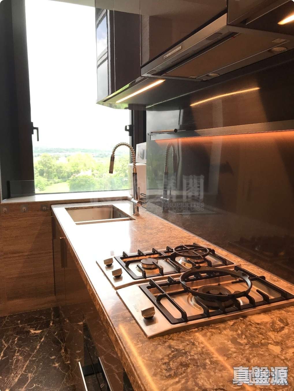 高尔夫．御苑 1座 极高层 上水/粉岭/古洞