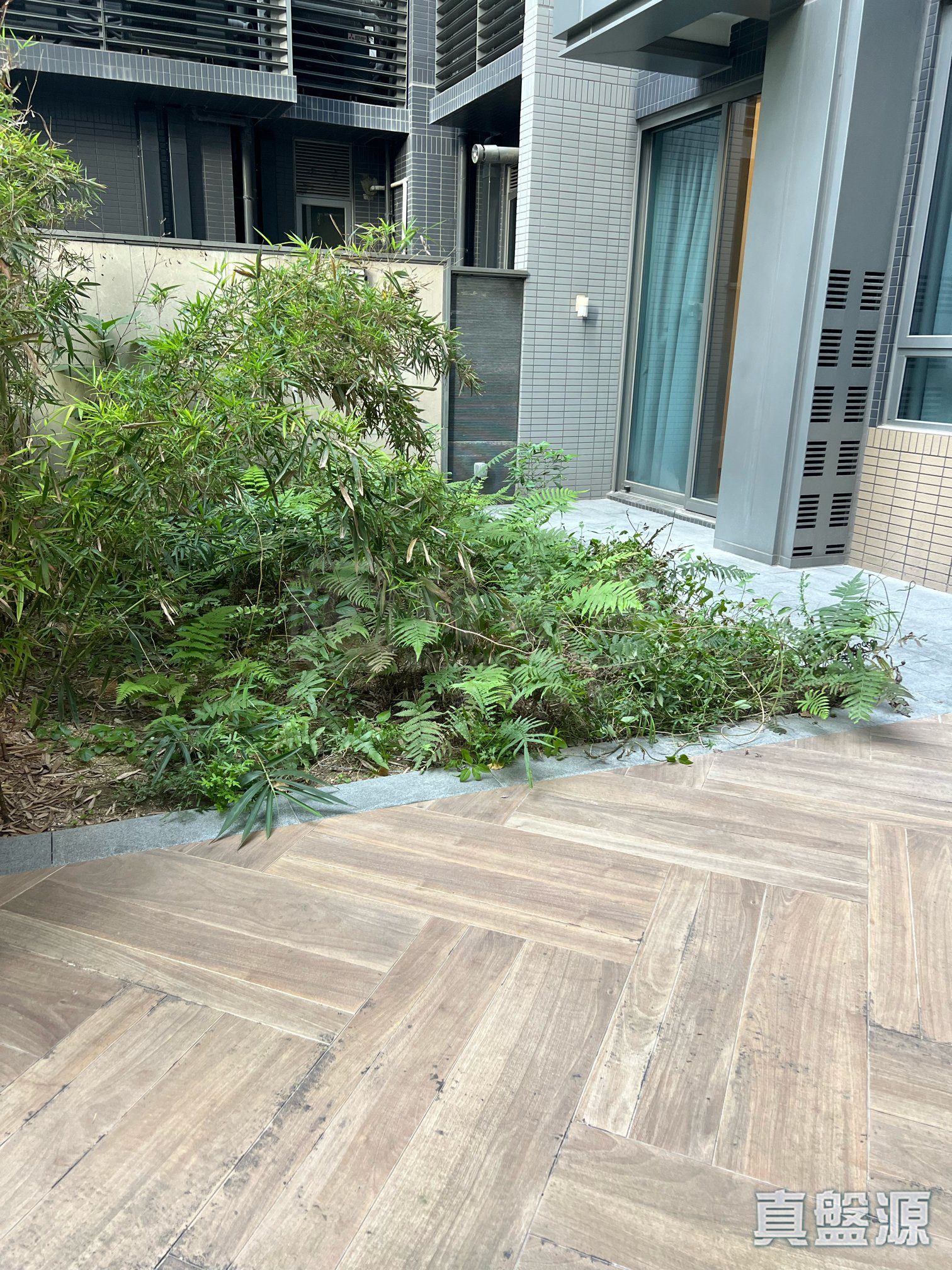 雲滙 2期 9座 低層 B1室 大埔