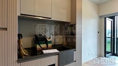 柏傲莊 1期 3座 (3B) 低層 F室 大圍