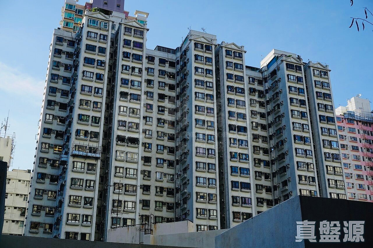 盈基花园 桃李阁 (3座) 中层 B室 中上环/西区