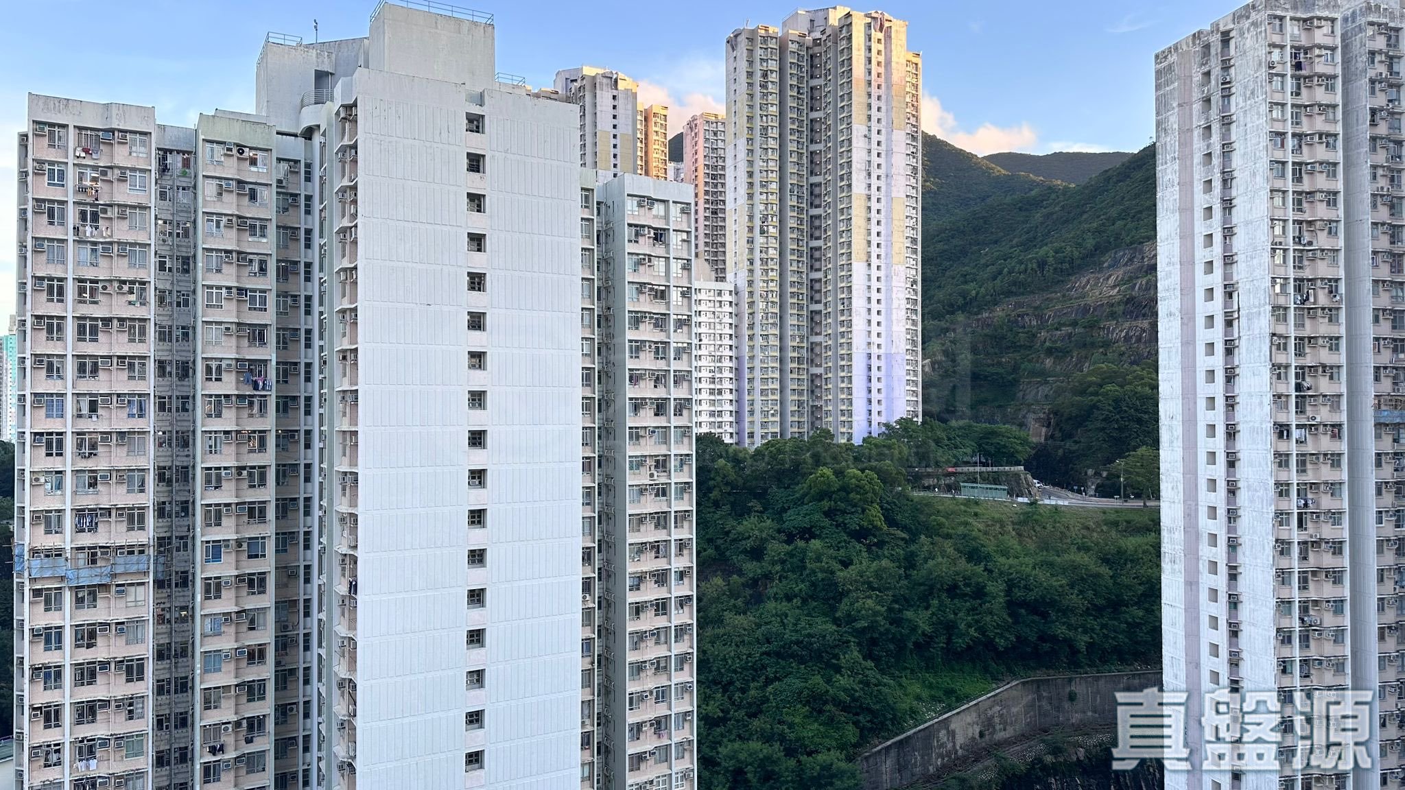 港島．東18 高層 C室 西灣河/筲箕灣